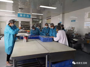 隴南生活網團隊走進成縣優點食品廠，探索乳制品背后的匠心與創新